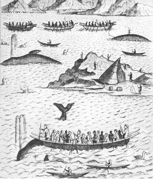 О китах в Баренцевом море