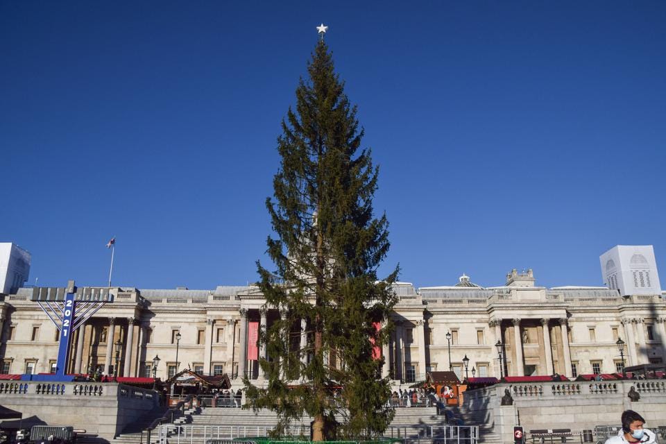 Нет, Лондон. Норвегия не заменит рождественскую елку на Трафальгарской площади