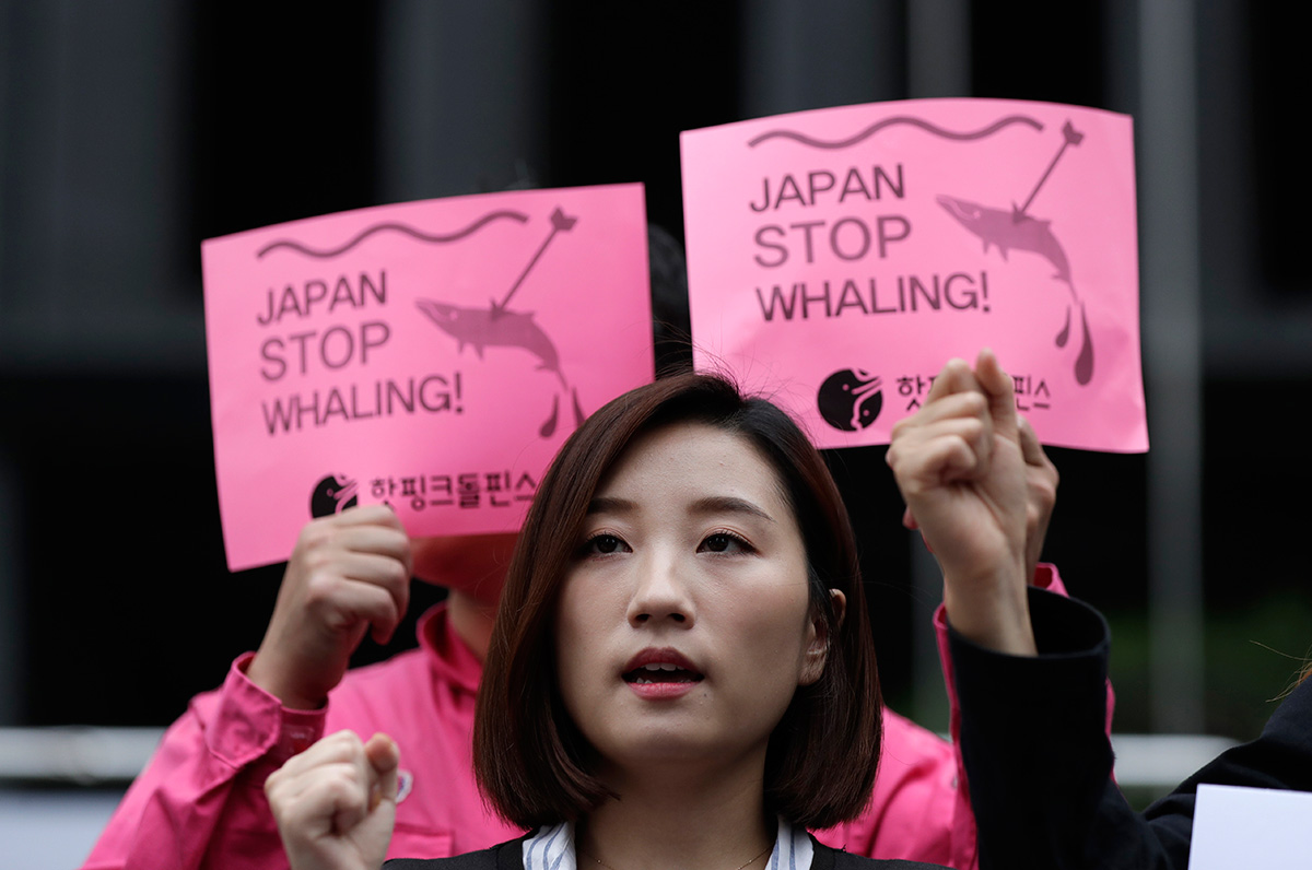 Митинг экологических активистов против китобойной деятельности Японии. Сеул, 19.06.2019. Фото: Lee Jin-man/AP/TASS