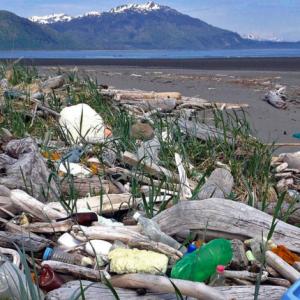 Прибрежные территории Аляски превратили в источник мусора для всей Арктики