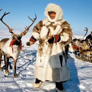 Скандинавы обвинили Россию в давлении на коренные народы